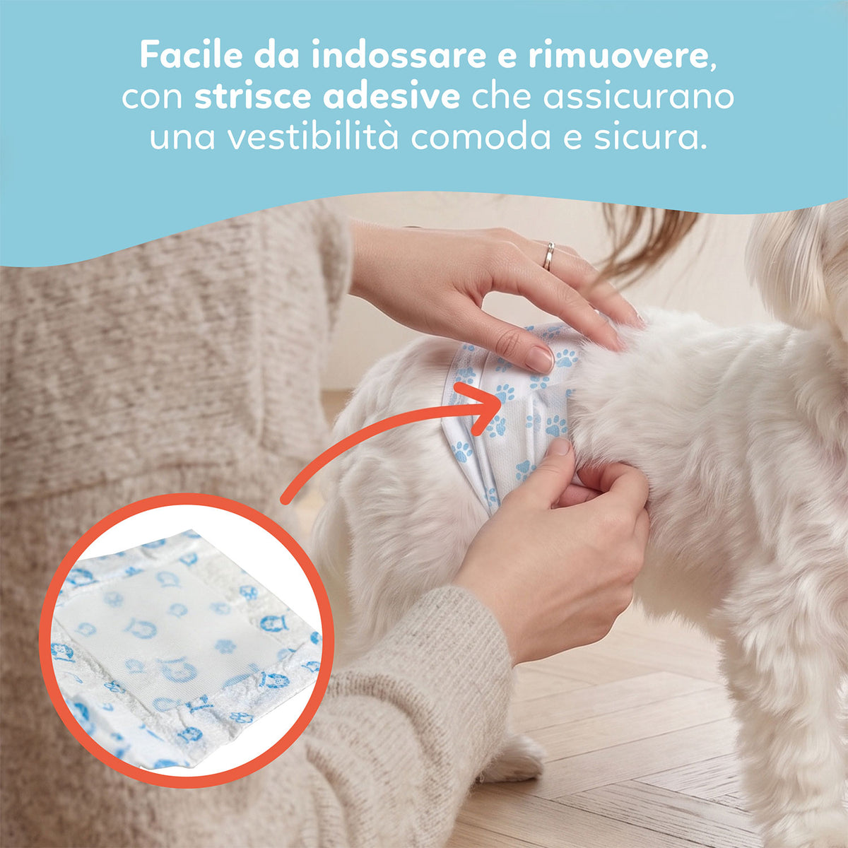 AQPET FRIENDS Windelhosen Windeln für Rüden 36 Stück Saugstark Tägliche Hygiene