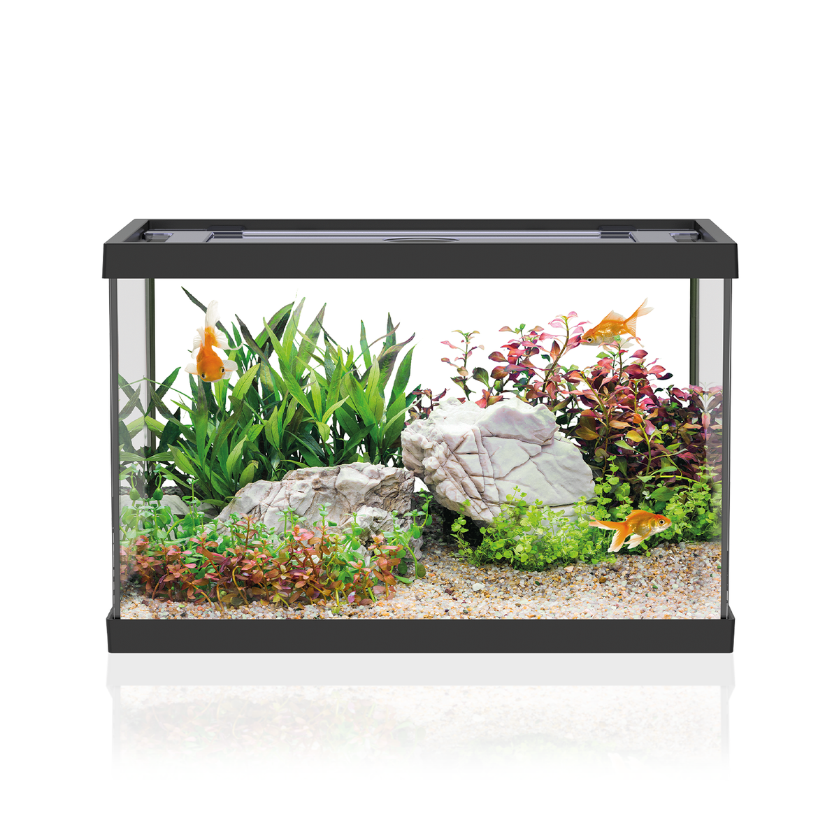 AQPET AQUARIUM ONE MINI AUS GLAS 20 LT 39x22x26h SCHWARZ