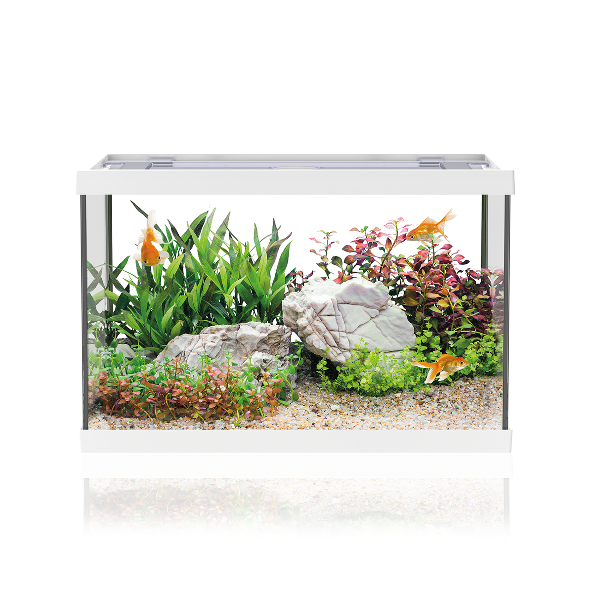 AQPET ACQUARIO ONE MINI AUS GLAS 20 L 39x22x26h WEISS