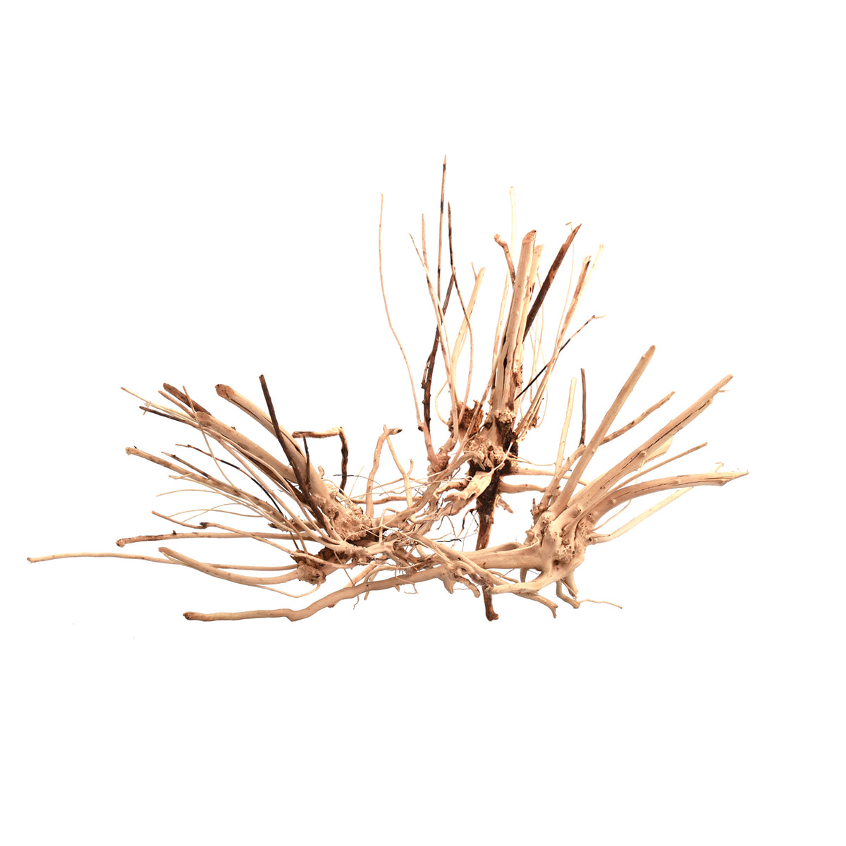AQPET ZEN WOOD SLIM WURZELHOLZ SELECT