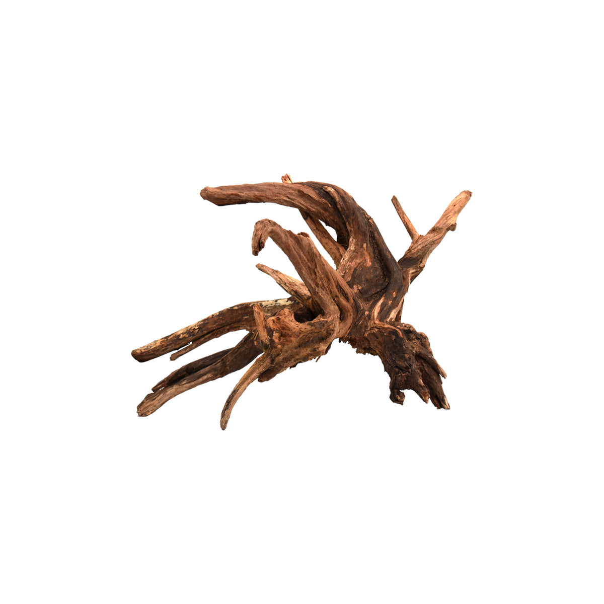 AQPET ZEN WOOD DRIFT WURZELHOLZ