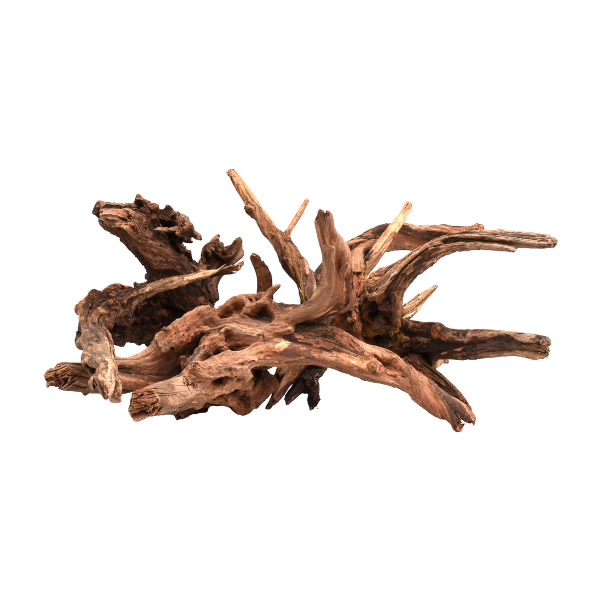 AQPET ZEN WOOD DRIFT WURZELHOLZ