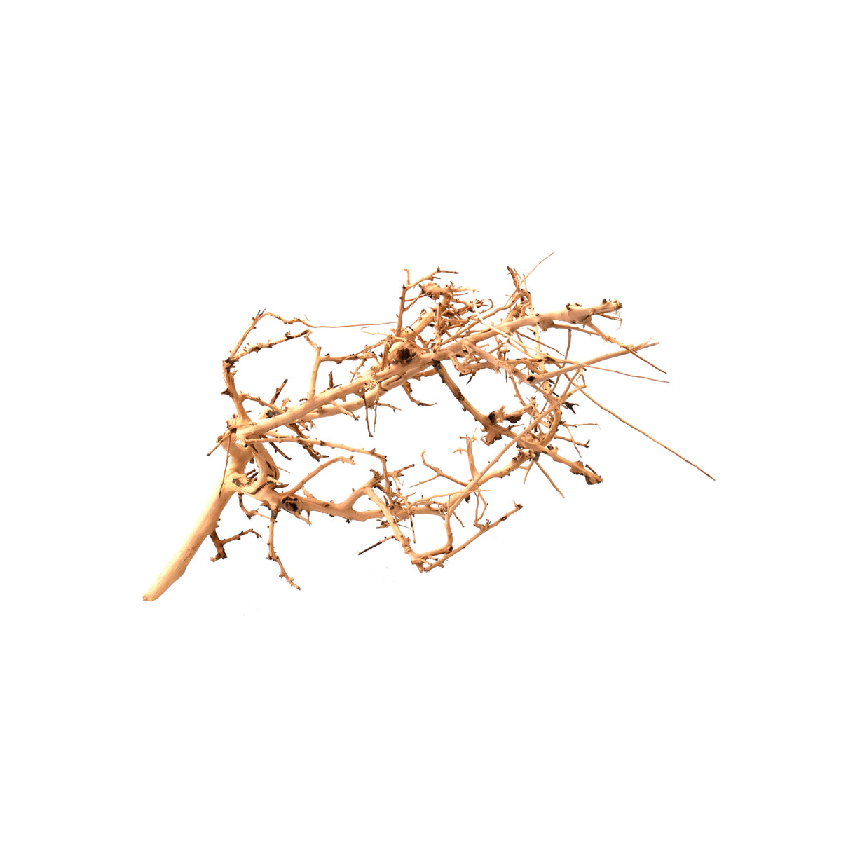 AQPET ZEN WOOD TINY HOLZWURZEL