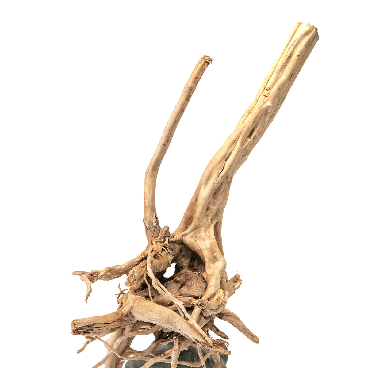 AQPET ZEN HOLZSTUMPF