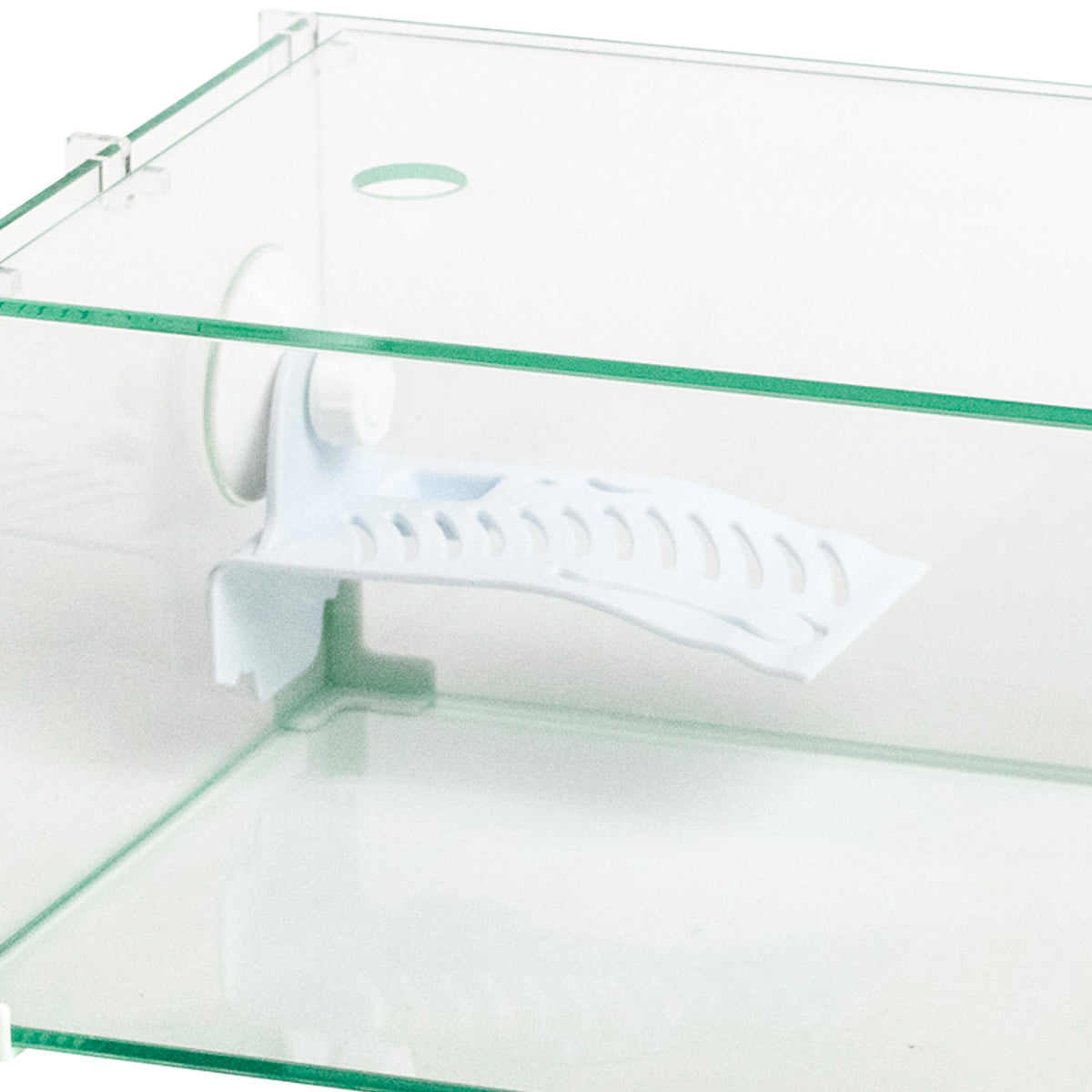 AQPET GLAS-SCHILDKRÖTENBECKEN TORTUGA 40 - 40X24X17 CM MIT INSEL