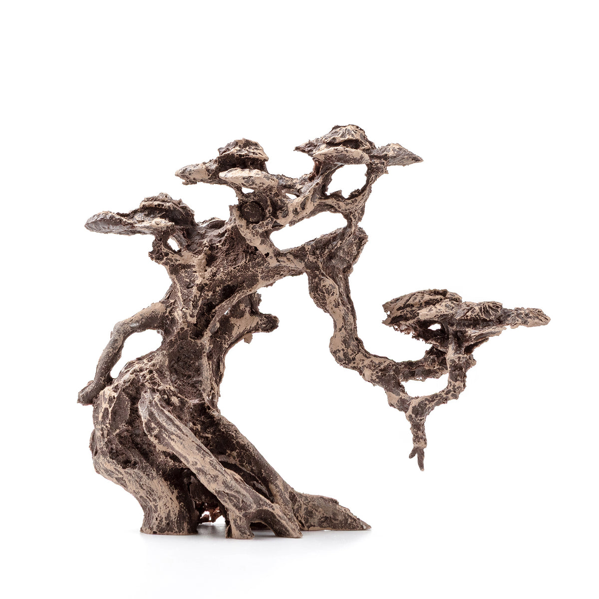 AQPET ZEN BONSAI AUS HARZ 1