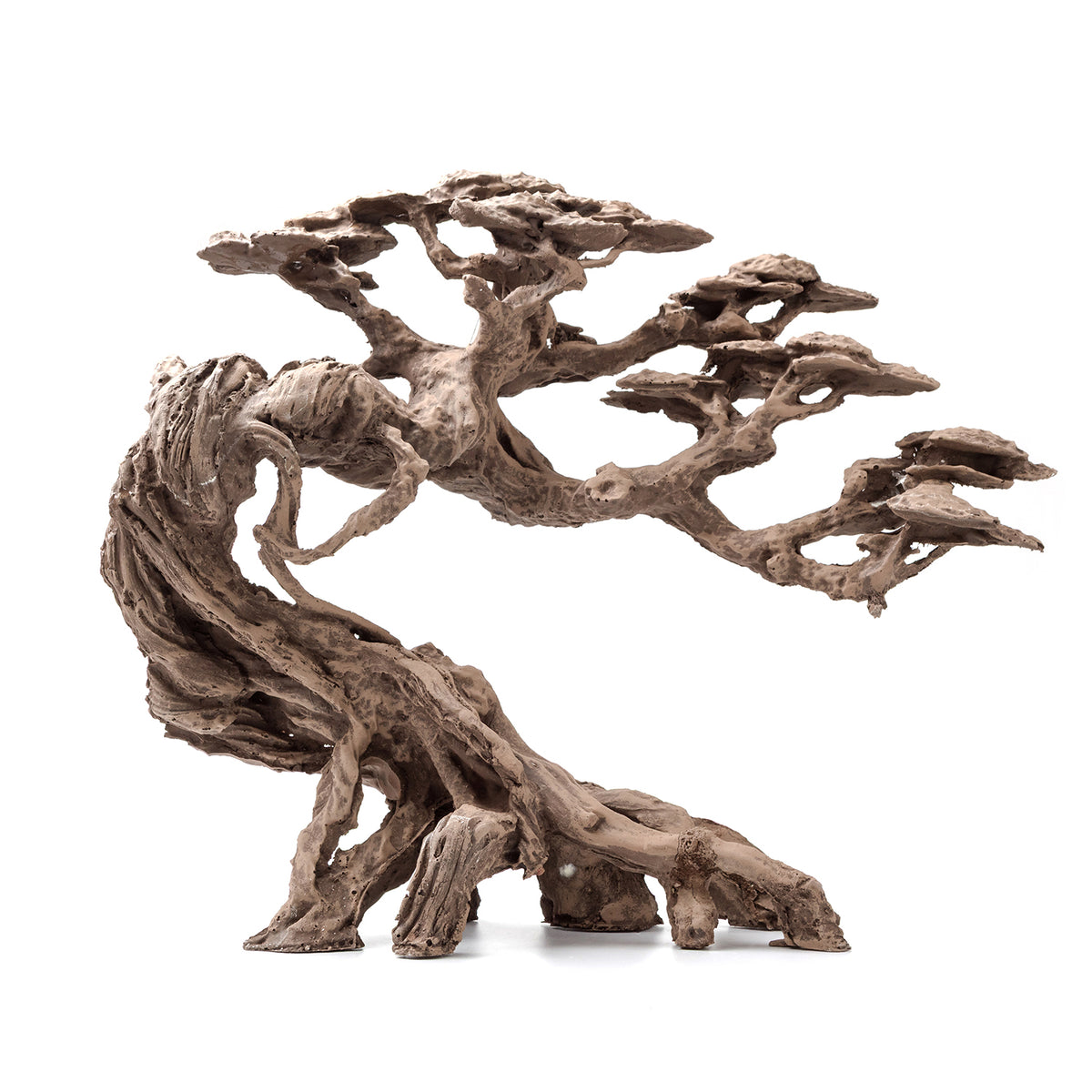 AQPET ZEN BONSAI AUS HARZ 2