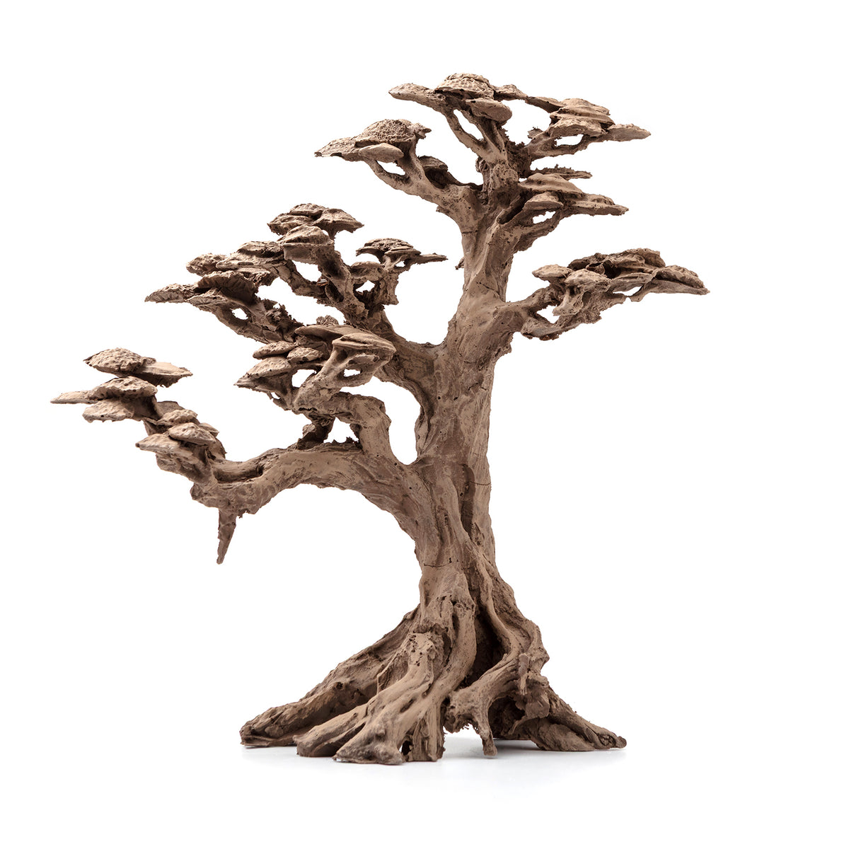 AQPET ZEN BONSAI AUS HARZ 4