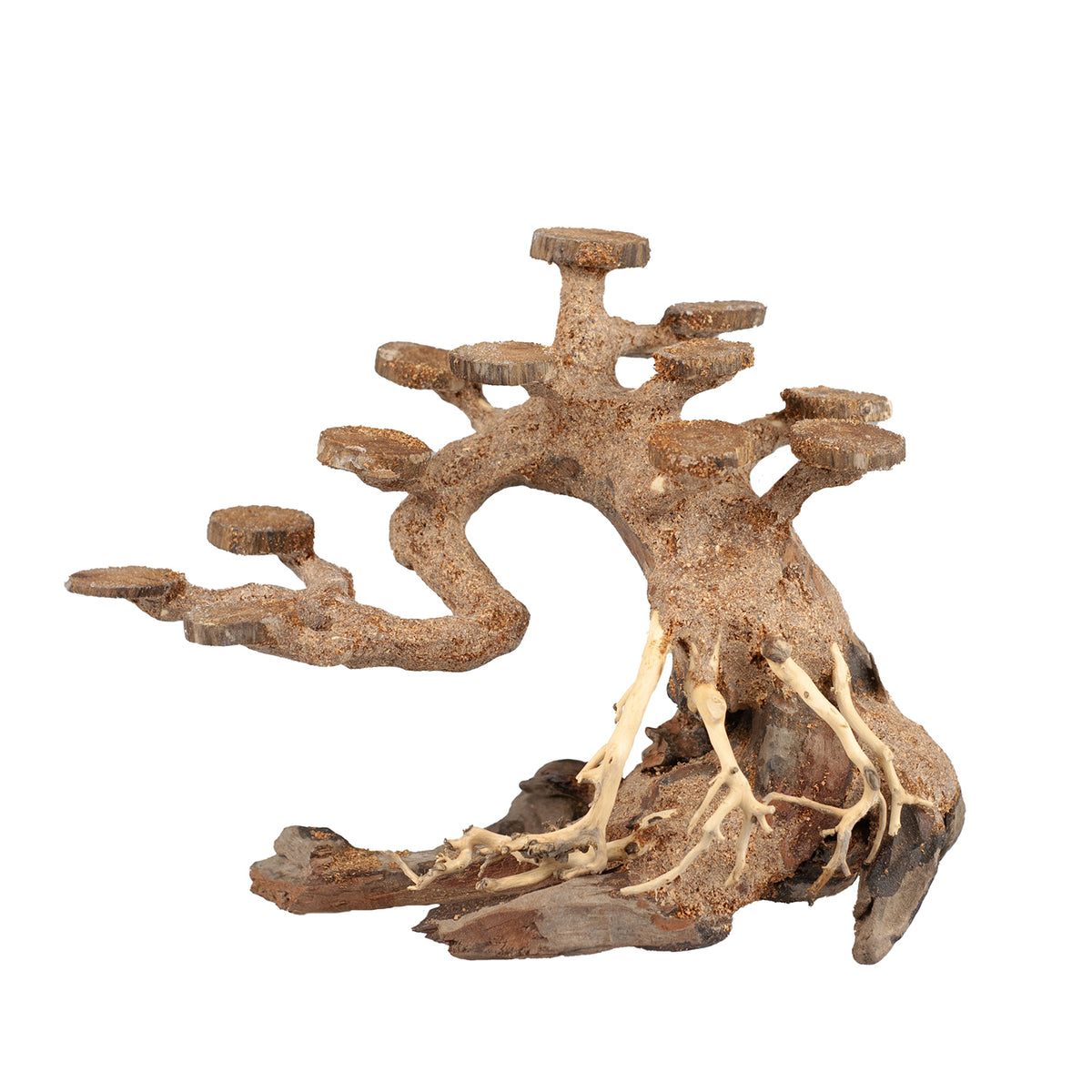 AQPET ZEN BONSAI-BAUM
