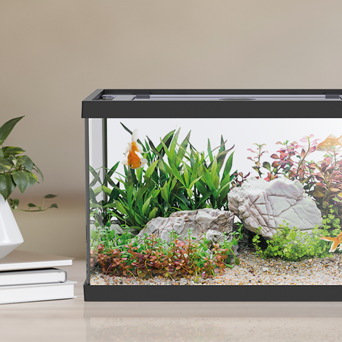 AQPET AQUARIUM ONE MINI AUS GLAS 20 LT 39x22x26h SCHWARZ