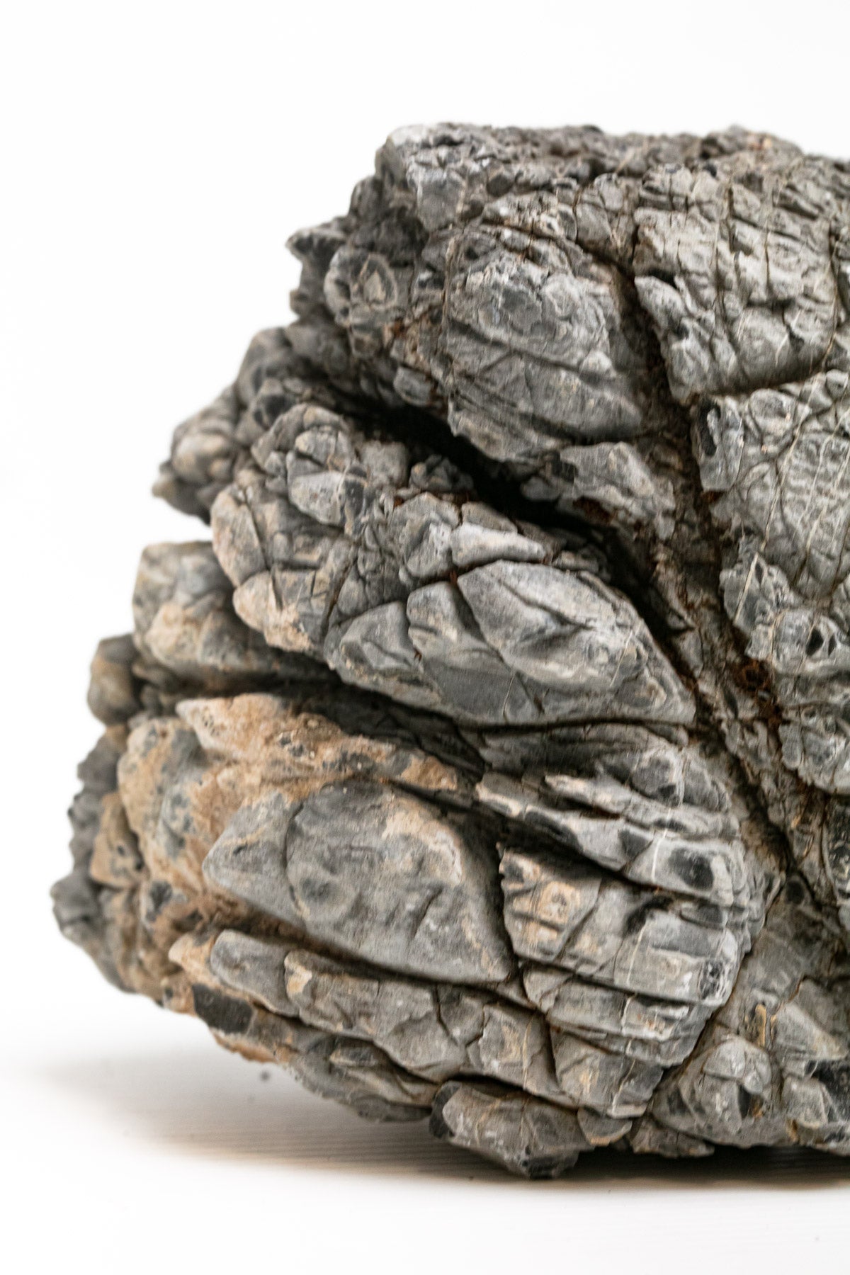 AQPET ZEN STONE ROCCE ECKEN (CONF.20KG GEMISCHT) 300GR /3 KG