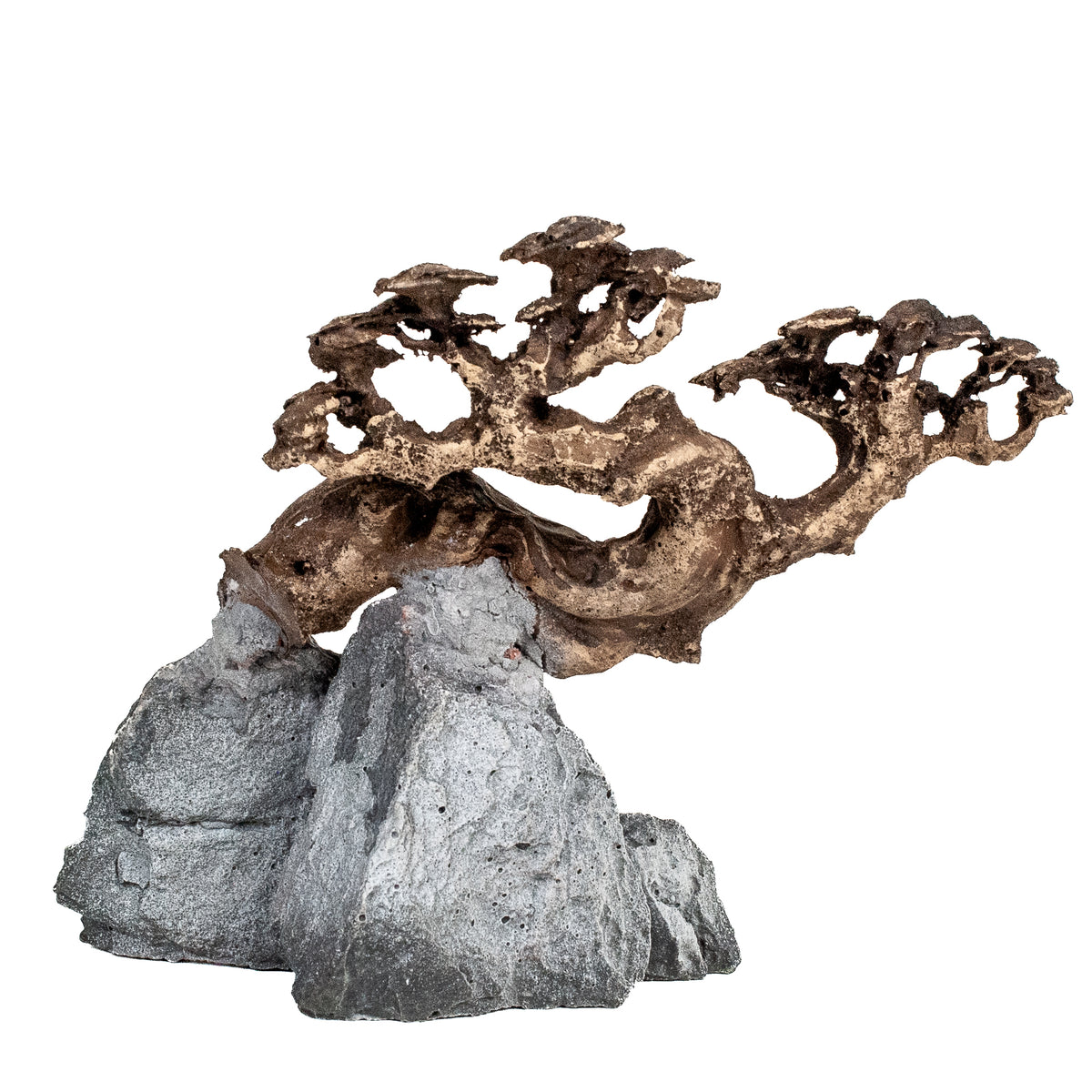 AQPET ZEN BONSAI AUS HARZ 10