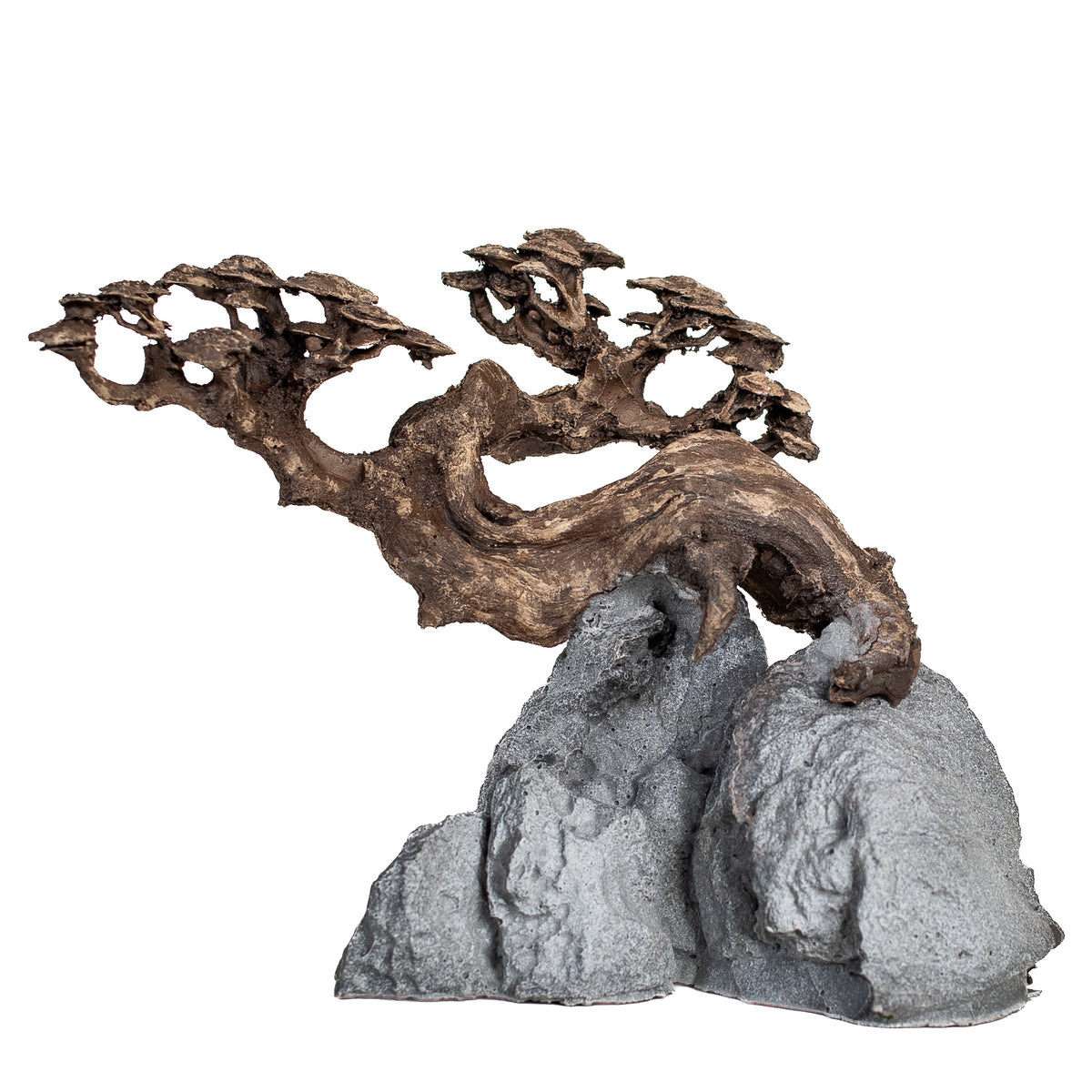 AQPET ZEN BONSAI AUS HARZ 10