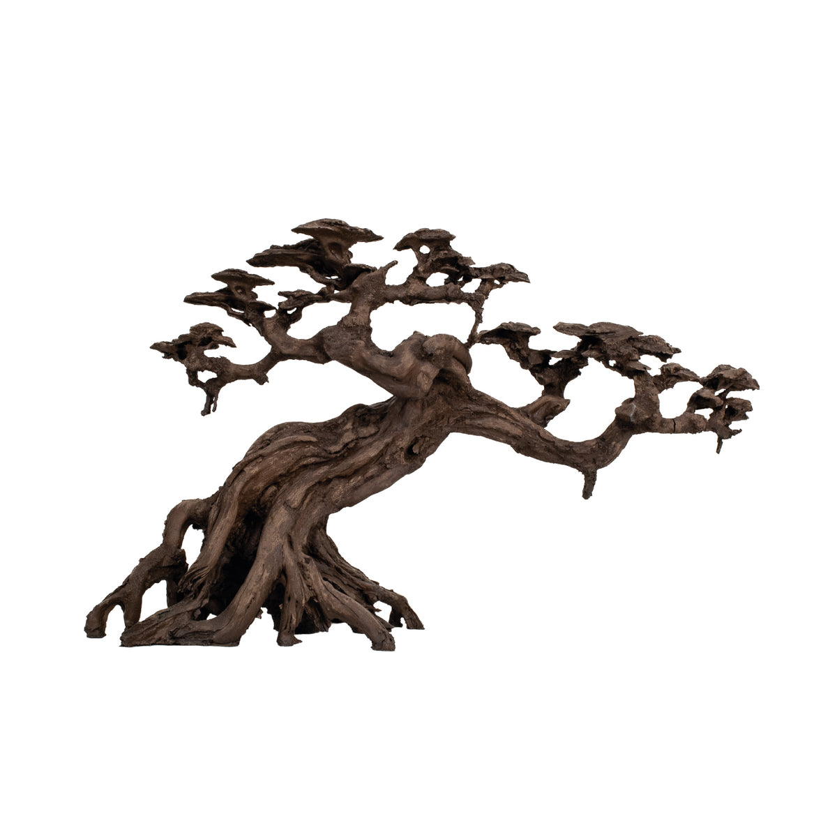 AQPET ZEN BONSAI AUS HARZ 14