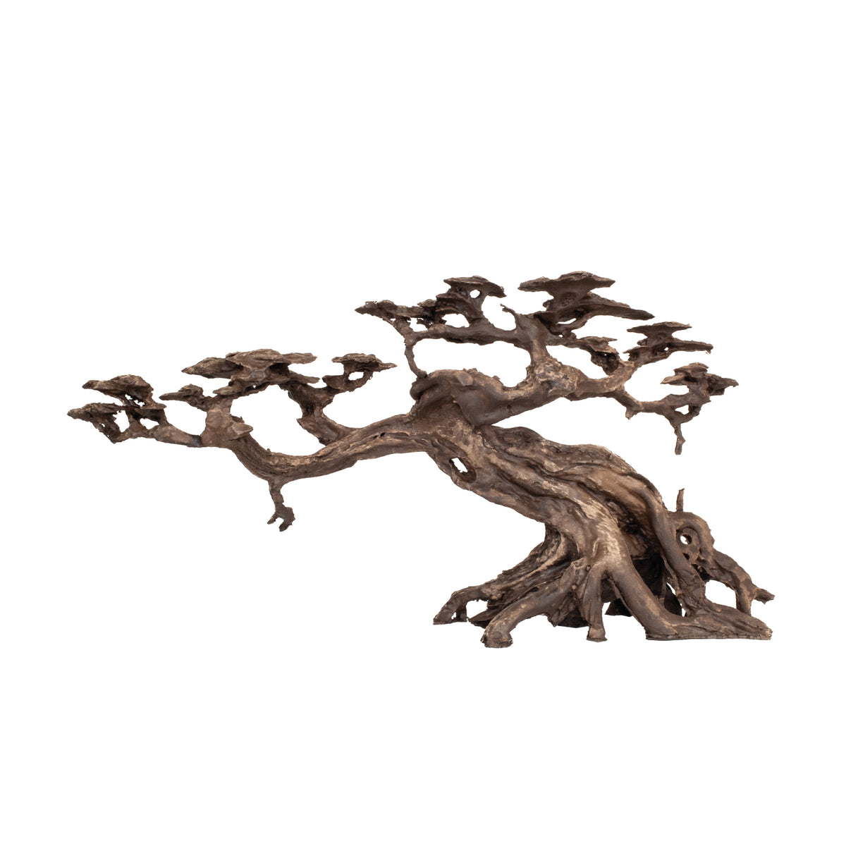 AQPET ZEN BONSAI AUS HARZ 15
