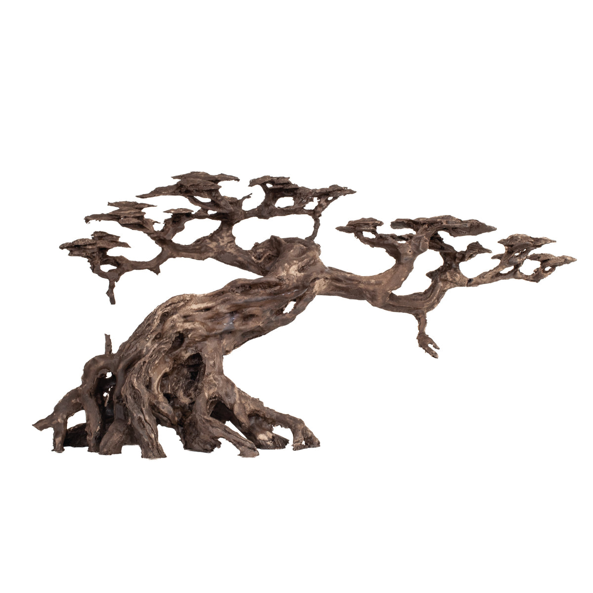 AQPET ZEN BONSAI AUS HARZ 15