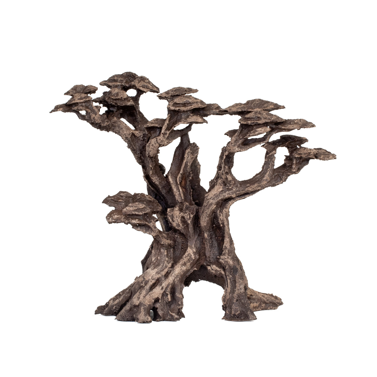 AQPET ZEN BONSAI AUS HARZ 17