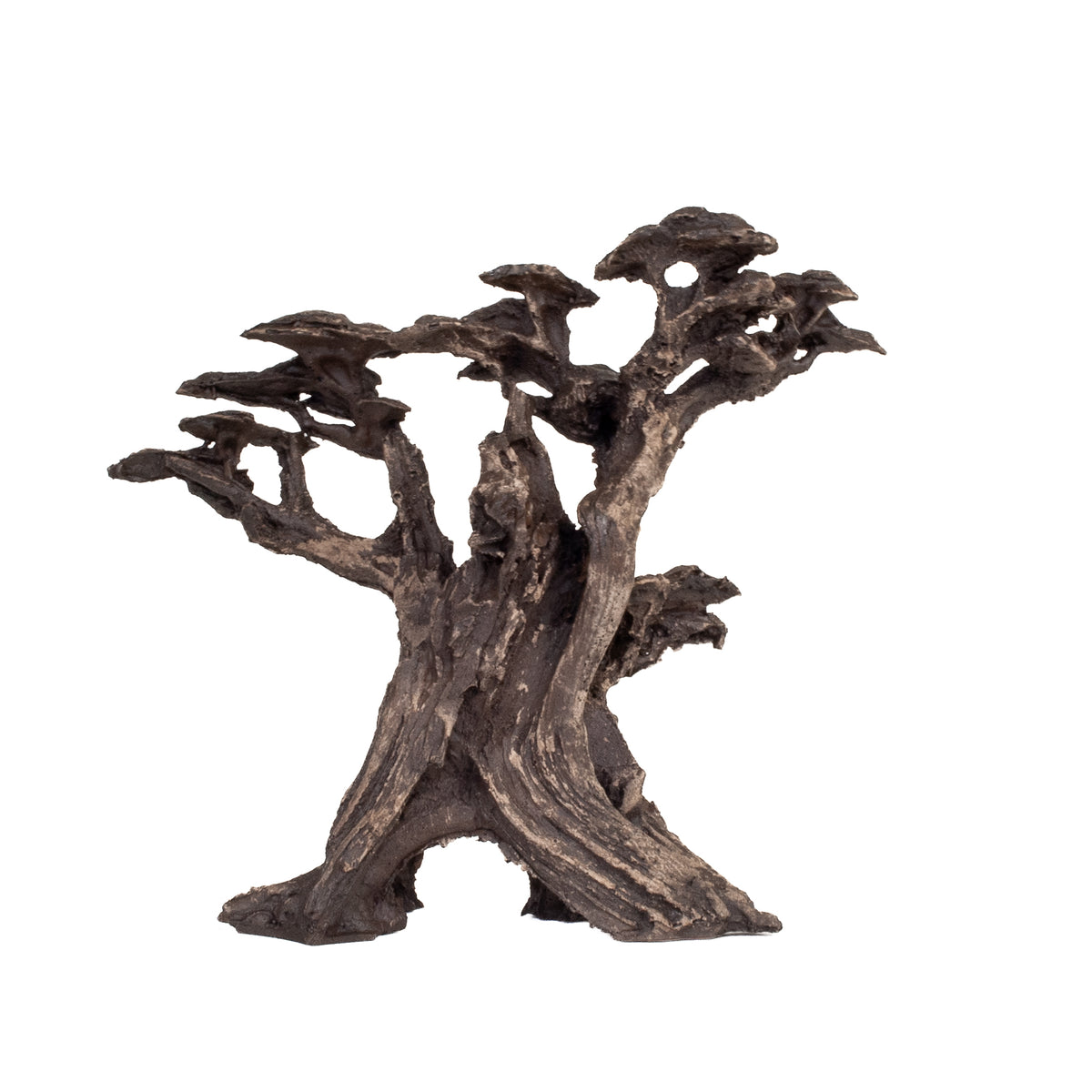 AQPET ZEN BONSAI AUS HARZ 17