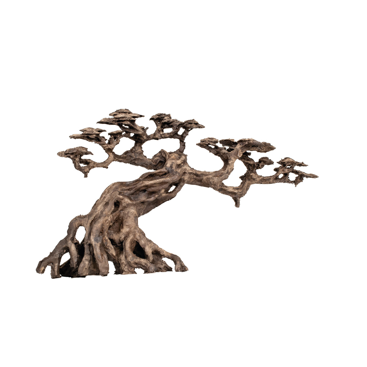 AQPET ZEN BONSAI AUS HARZ 13
