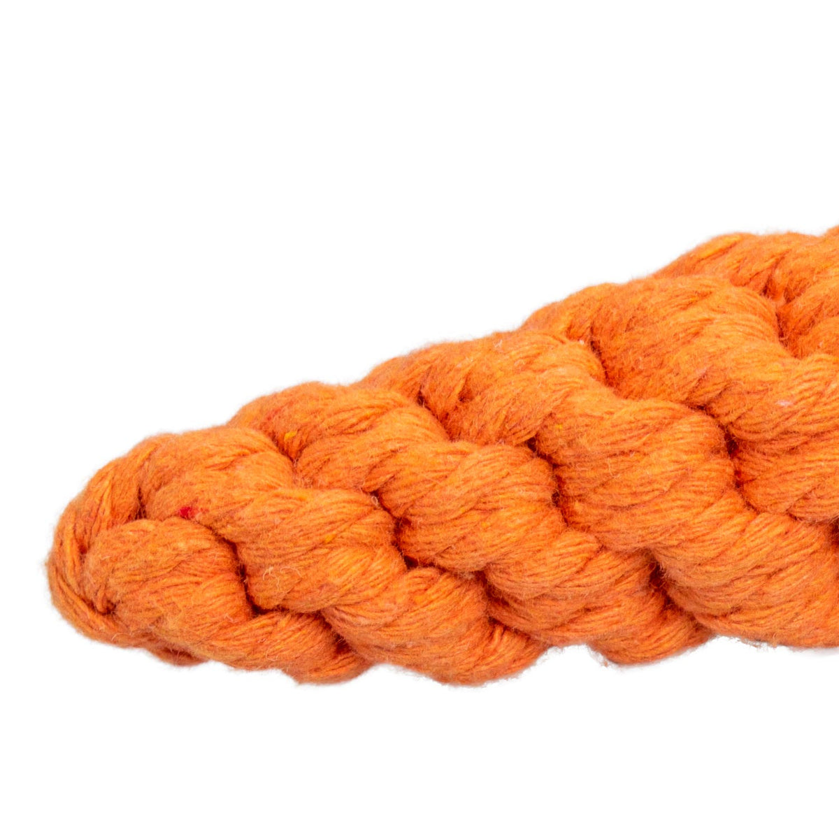 AQPET FRIENDS AQPET Hundespielzeug Seil-Karotte aus Baumwolle 21 x 4 cm Hundespielzeug Spaß für Haustiere