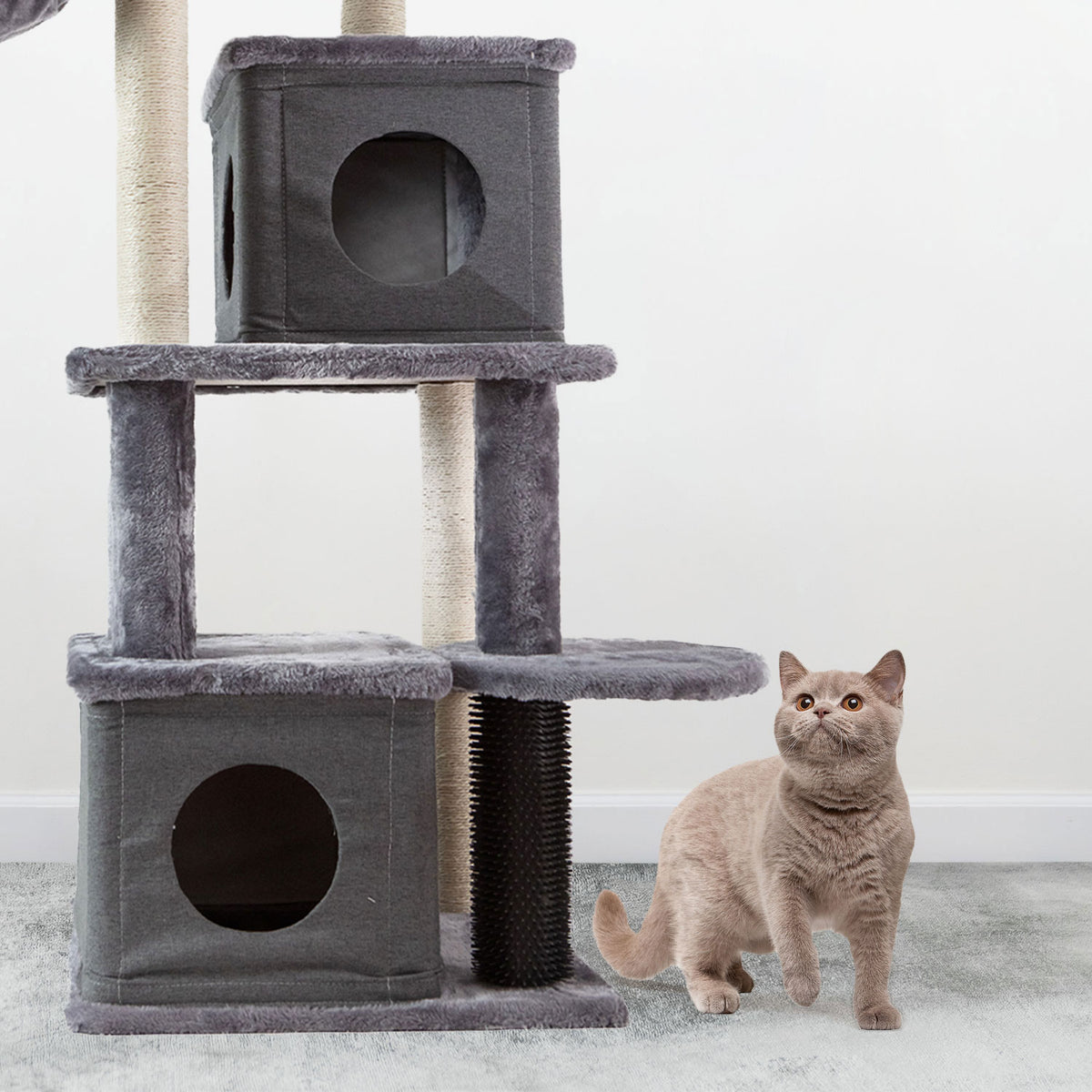 AQPET FRIENDS Kratzbaum London 48x44x125 cm H für Katzen Spielzeug Katze Entspannung & Spaß Spiel
