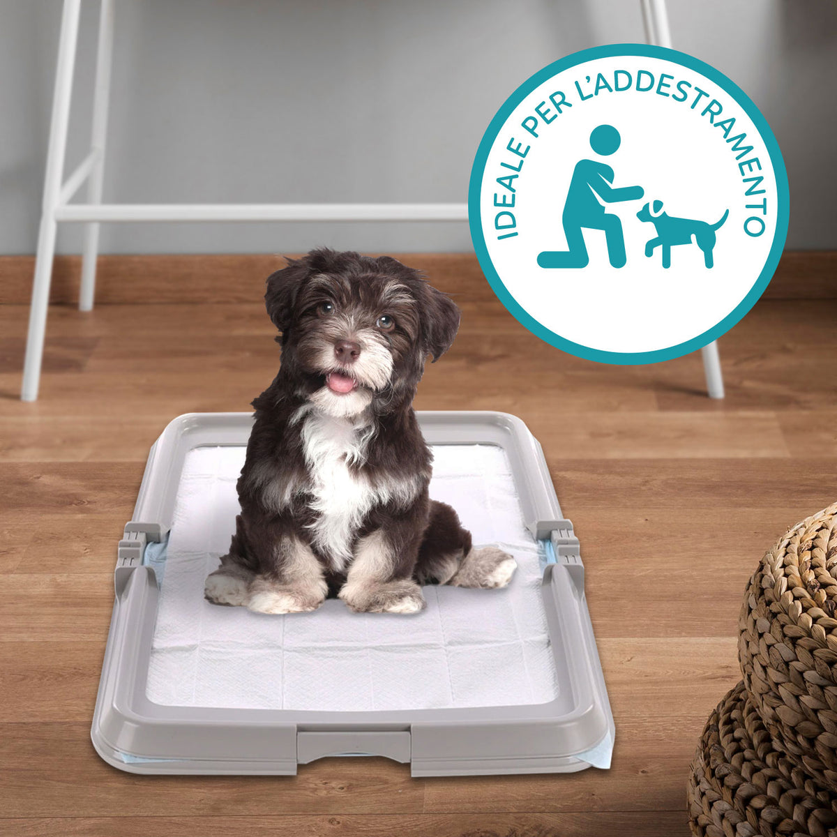AQPET FRIENDS Hundetoilette, faltbar 86x62 cm, Schale für Saugmatten, ideal für Welpentraining und den Gebrauch zu Hause