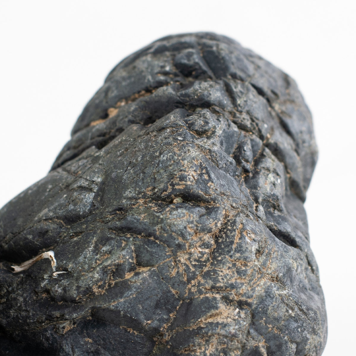 AQPET ZEN STONE GOTLANDSTEIN (PACKUNG 10KG GEMISCHT)
