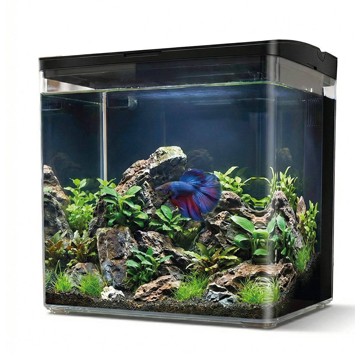 AQPET NEYA SCHREIBTISCHAQUARIUM SCHWARZ
