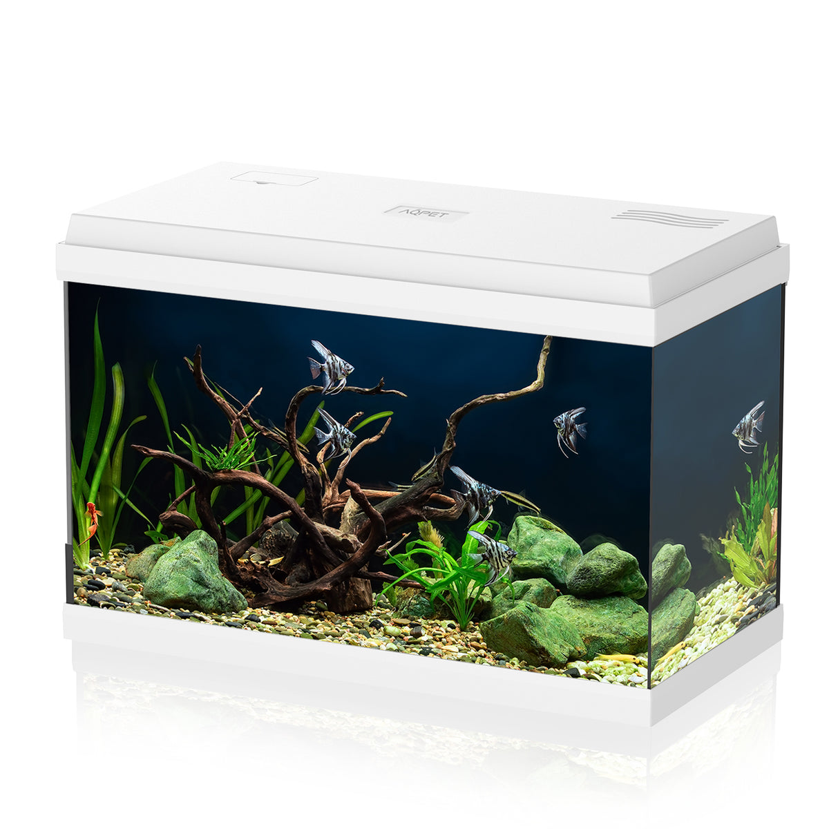 AQPET AQUARIUM SIMPLY LED 60 WEISS KOMPLETT MIT BELEUCHTUNG, FILTER UND HEIZER - 59X30X39 H CM