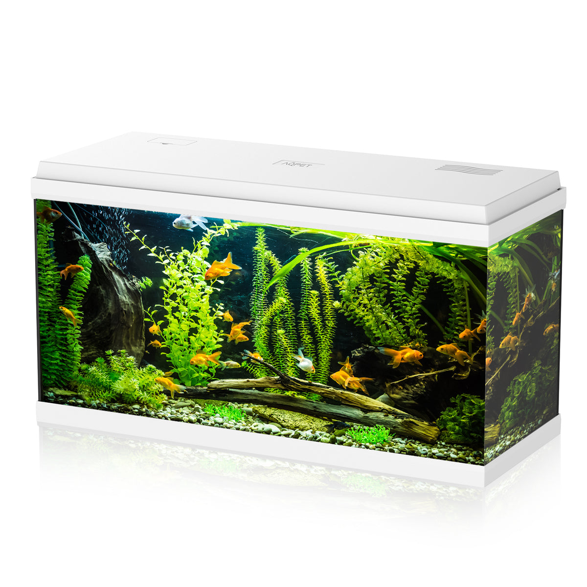 AQPET AQUARIUM SIMPLY LED 100 WEISS KOMPLETT DOPPELBELEUCHTUNG FILTER UND HEIZUNG - 80X32X45 H CM