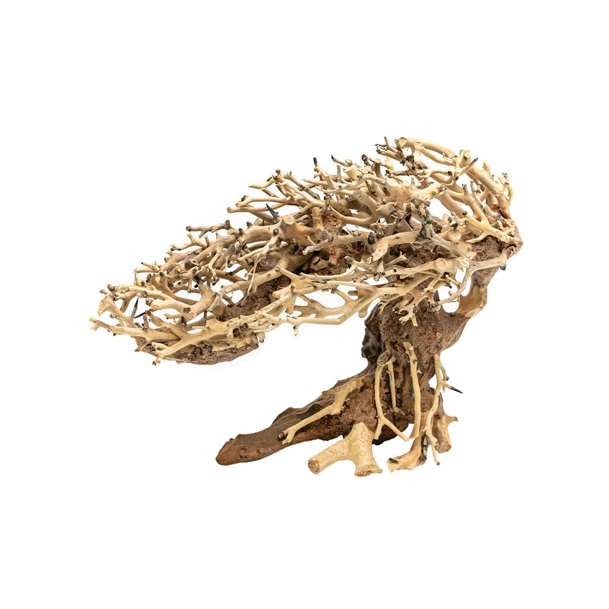 AQPET ZEN BONSAI ROMANTISCH