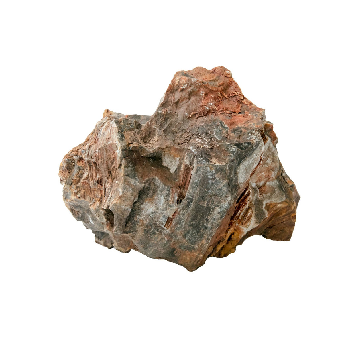 AQPET ZEN STONE HOLZFOSSILE (GEBINDE 20KG GEMISCHT) 300GR /3 KG