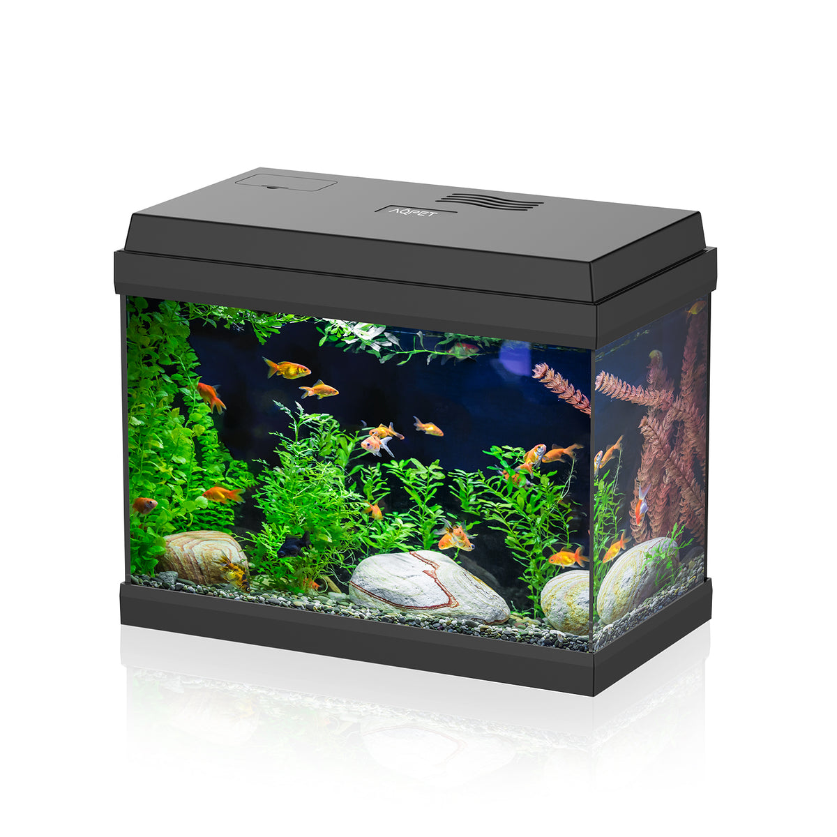 AQPET AQUARIUM SIMPLY LED 30 SCHWARZ KOMPLETT MIT LICHT UND FILTER - 39X22X30 H CM