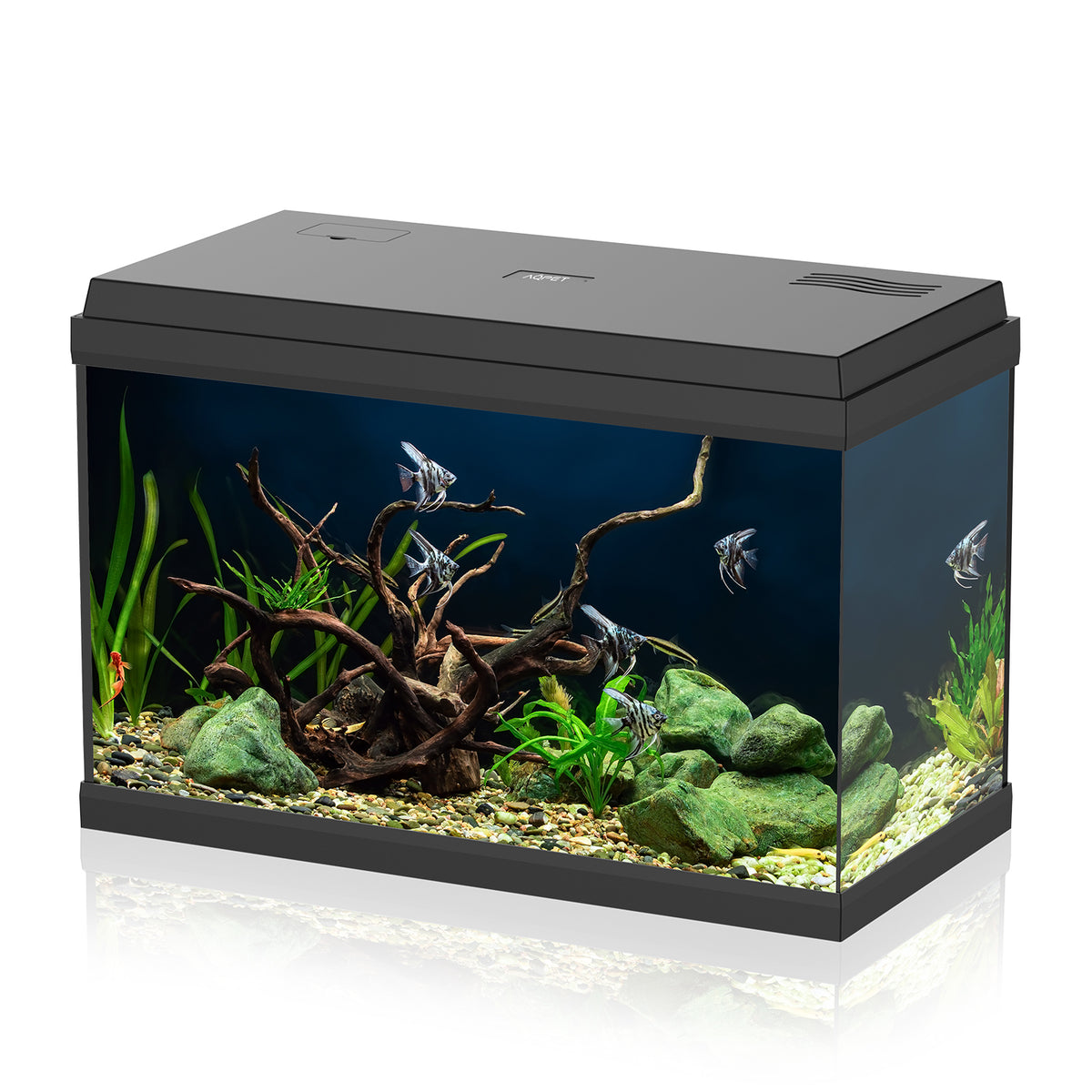 AQPET AQUARIUM SIMPLY LED 60 SCHWARZ KOMPLETT MIT BELEUCHTUNG, FILTER UND HEIZER - 59X30X39 H CM