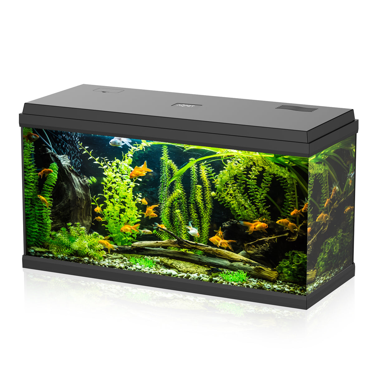 AQPET ACQUARIO SIMPLY LED 100 SCHWARZ KOMPLETT MIT DOPPELBELEUCHTUNG FILTER UND HEIZER - 80X32X45 H CM