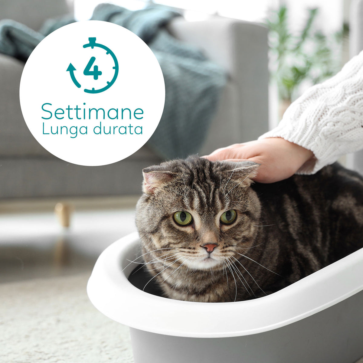 AQPET FRIENDS Katzenstreu aus Silikon, Talkumpuderduft, für Katzen, supersaugfähig, geruchshemmend, Katzenhygiene