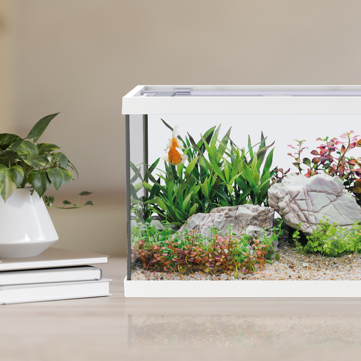 AQPET ACQUARIO ONE MINI AUS GLAS 20 L 39x22x26h WEISS