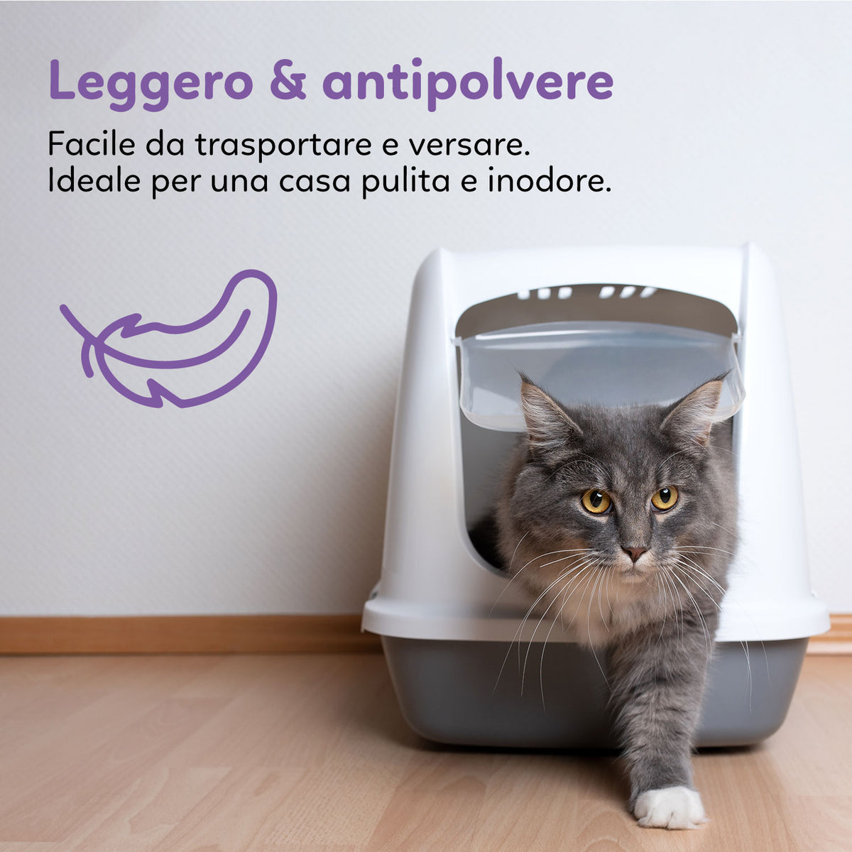 AQPET FRIENDS Katzenstreu aus Silikat, Catty Lavendelduft, supersaugfähig, geruchshemmend, Katzenhygiene