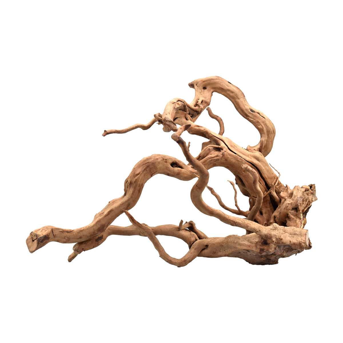AQPET ZEN WOOD WURZELHOLZ AUSGEWÄHLT