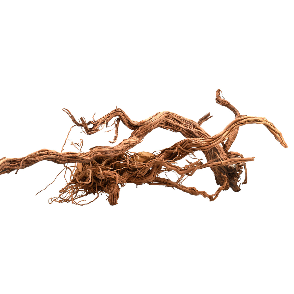 AQPET ZEN WOOD AZALEA DRAGON WURZELHOLZ SELECT