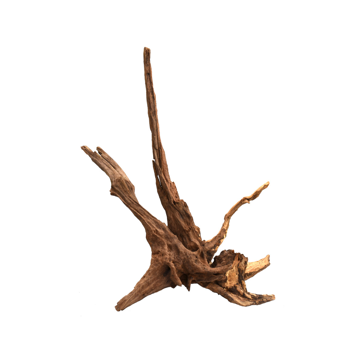 AQPET ZEN WOOD DRIFT WURZELHOLZ