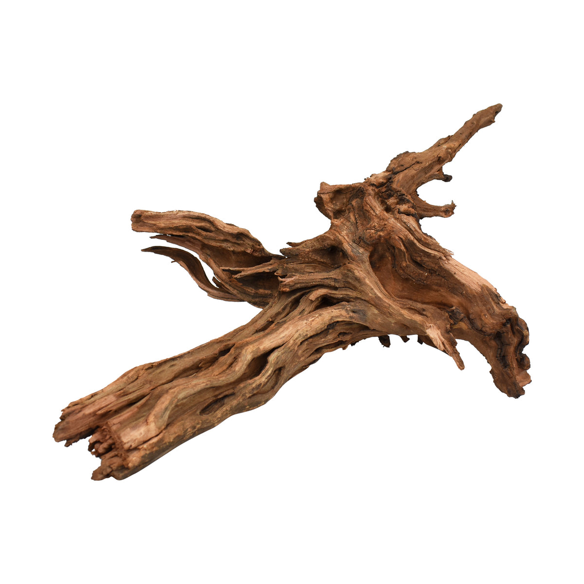 AQPET ZEN WOOD DRIFT WURZELHOLZ