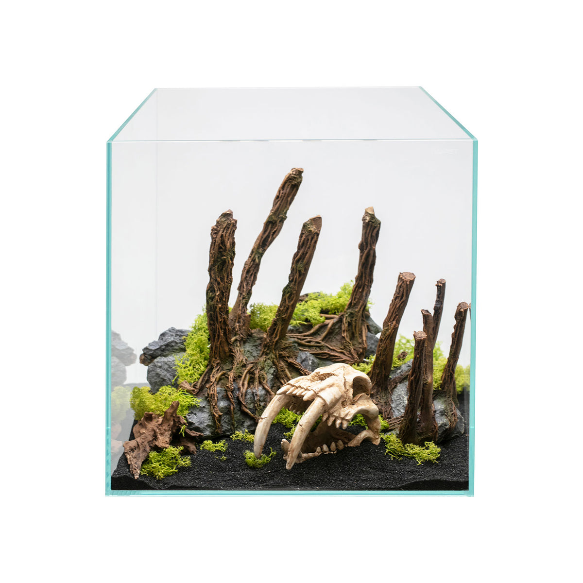 AQPET DECORART DEKORATIONEN FÜR AQUARIEN MOD. BARE ROOTS 32.5*21*24