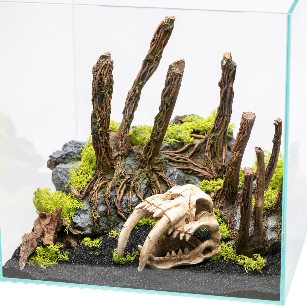 AQPET DECORART DEKORATIONEN FÜR AQUARIEN MOD. BARE ROOTS 32.5*21*24