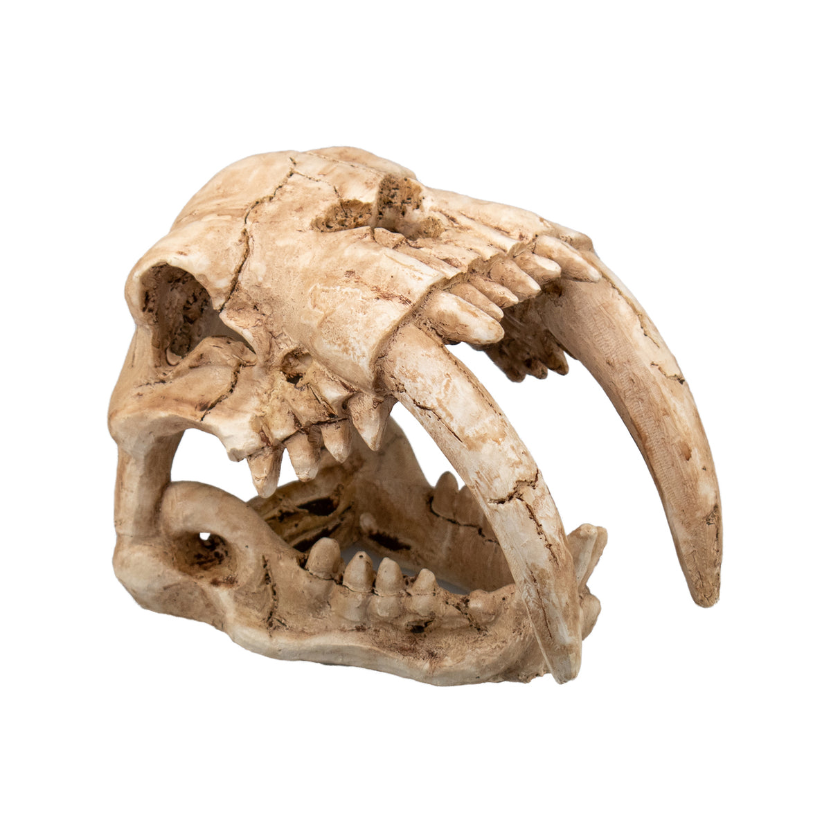 AQPET DECORART AQUARIUMDEKORATION MOD. FOSSIL SKULL 15*9.5*11
