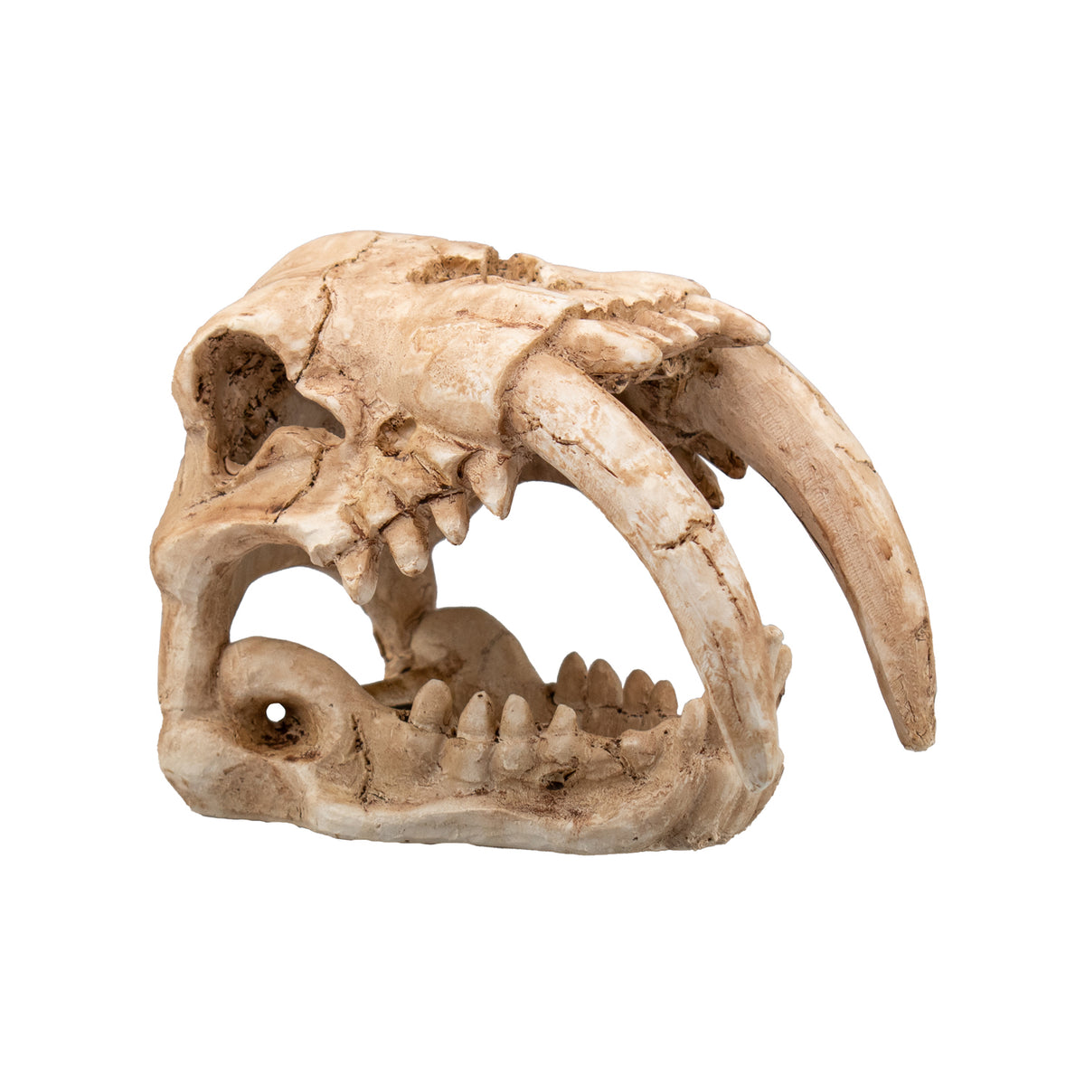 AQPET DECORART AQUARIUMDEKORATION MOD. FOSSIL SKULL 15*9.5*11