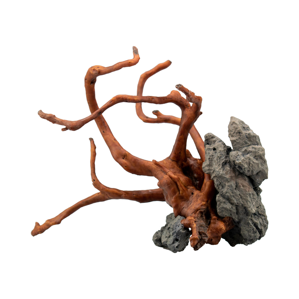 AQPET DECORART AQUARIUMDEKORATION MOD. RED ROOTS 29.5*20*21