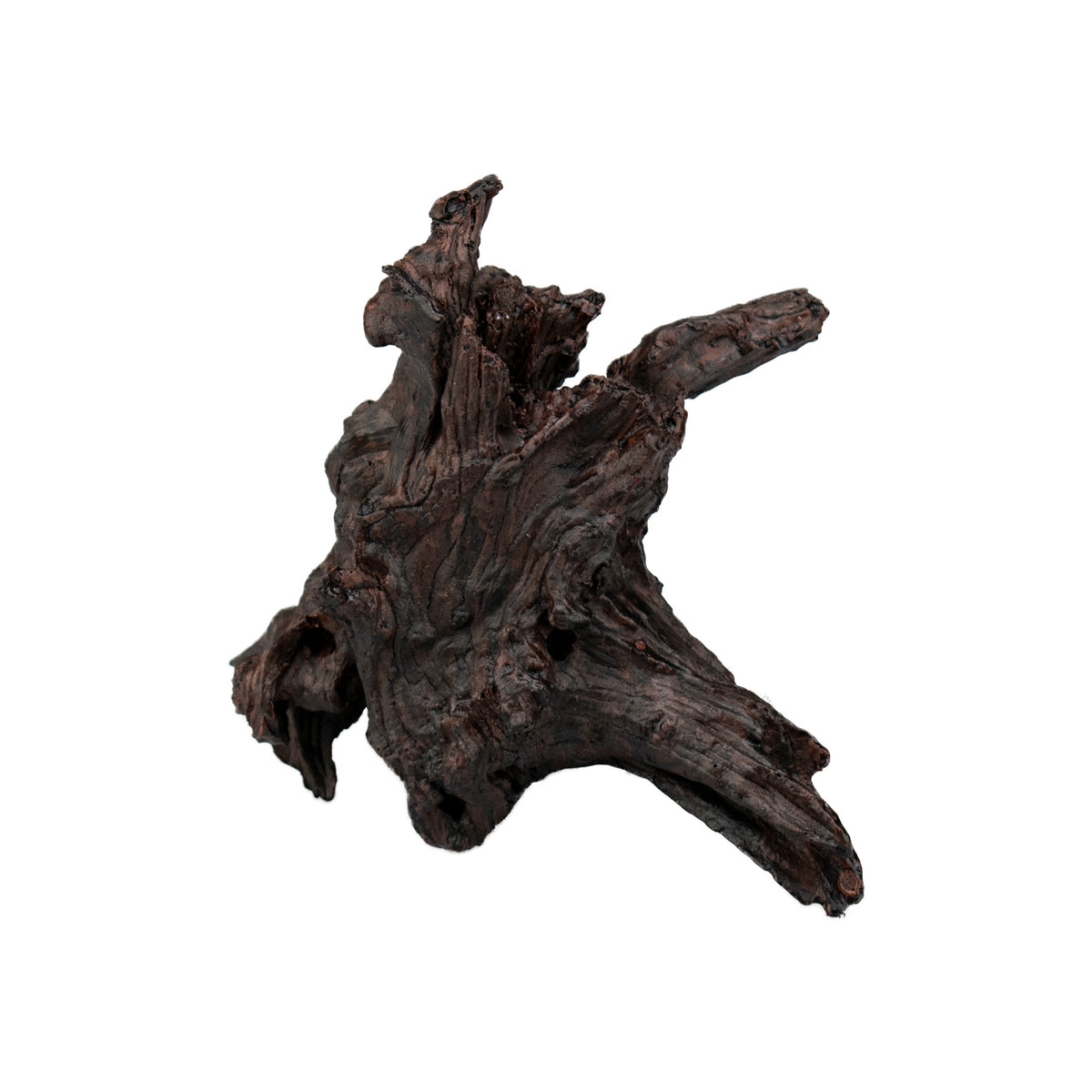 AQPET DECORART AQUARIUMDEKORATION MOD. BLACK ROOTS 18*17*10