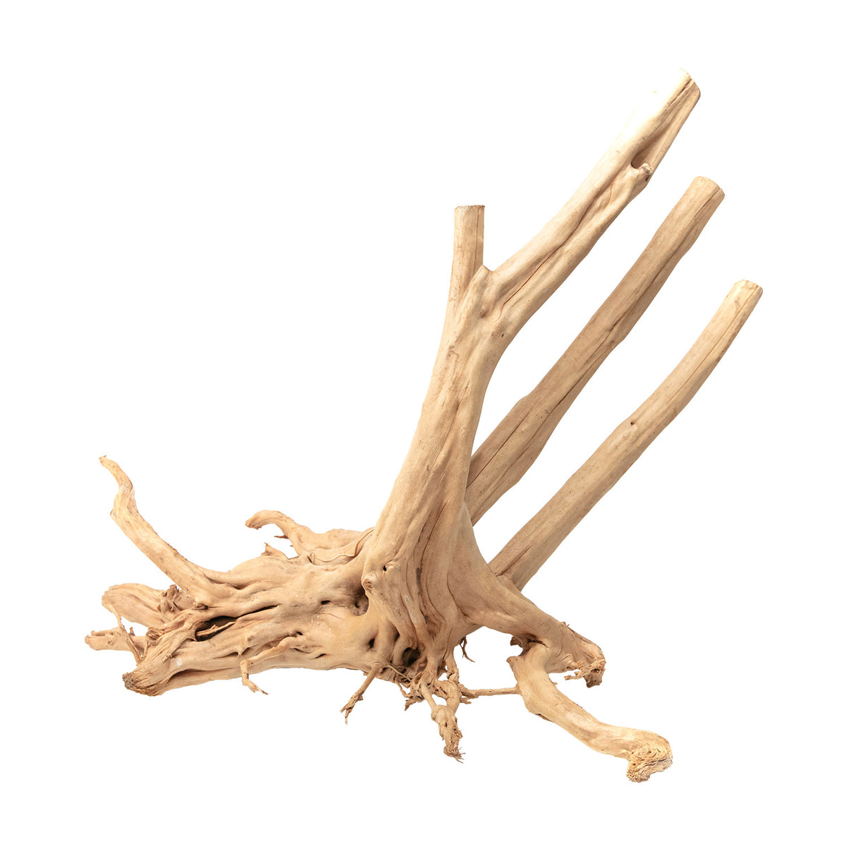 AQPET ZEN HOLZSTUMPF