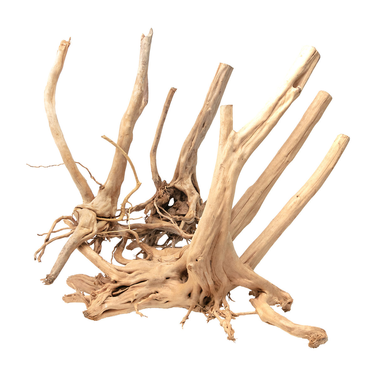AQPET ZEN HOLZSTUMPF